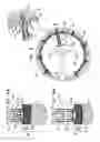 Fig. 09 - Tissue anchor for annuloplasty device