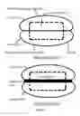 Fig. 08 - MASSAGING DEVICE HAVING TWO OPPOSITE MASSAGING SURFACES FOR MASSAGING HUMAN BODY