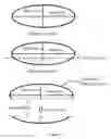 Fig. 09 - MASSAGING DEVICE HAVING TWO OPPOSITE MASSAGING SURFACES FOR MASSAGING HUMAN BODY