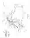 Fig. 02 - Dynamic tensioning orthosis and related method of use