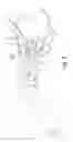 Fig. 04 - Dynamic tensioning orthosis and related method of use