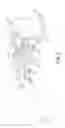 Fig. 05 - Dynamic tensioning orthosis and related method of use