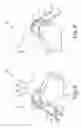 Fig. 08 - Dynamic tensioning orthosis and related method of use