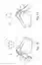 Fig. 09 - Dynamic tensioning orthosis and related method of use
