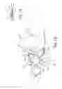 Fig. 15 - Dynamic tensioning orthosis and related method of use