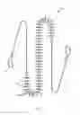 Fig. 02 - FLEXIBLE BACK SCRATCHER & BACK WASHING KIT