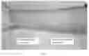 Fig. 02 - SUNSCREEN COMPOSITIONS