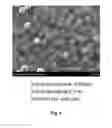Fig. 07 - Process for producing polymeric microspheres