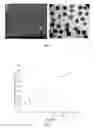 Fig. 09 - Process for producing polymeric microspheres