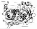 Fig. 01 - Non-peptidic GAPDH aggregation inhibitor