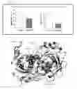 Fig. 04 - Non-peptidic GAPDH aggregation inhibitor