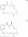 Fig. 26 - COMPOUNDS FOR TREATING DISORDERS ASSOCIATED WITH BK CHANNEL MODULATION