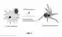 Fig. 02 - Modulators of prostate-specific G-protein receptor (PSGR/OR51E2) and methods of using same