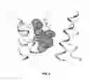 Fig. 05 - Modulators of prostate-specific G-protein receptor (PSGR/OR51E2) and methods of using same