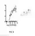 Fig. 09 - Modulators of prostate-specific G-protein receptor (PSGR/OR51E2) and methods of using same