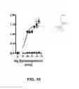 Fig. 11 - Modulators of prostate-specific G-protein receptor (PSGR/OR51E2) and methods of using same