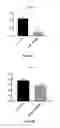 Fig. 23 - Modulators of prostate-specific G-protein receptor (PSGR/OR51E2) and methods of using same