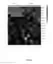 Fig. 25 - Modulators of prostate-specific G-protein receptor (PSGR/OR51E2) and methods of using same