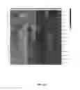 Fig. 27 - Modulators of prostate-specific G-protein receptor (PSGR/OR51E2) and methods of using same