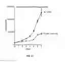 Fig. 33 - Modulators of prostate-specific G-protein receptor (PSGR/OR51E2) and methods of using same