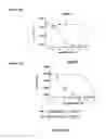 Fig. 06 - SHMT inhibitors