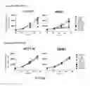Fig. 09 - SHMT inhibitors