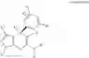Fig. 40 - SHMT inhibitors