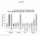 Fig. 06 - Methods for inhibiting preterm labor and uterine contractility disorders and preventing cervical ripening