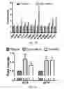 Fig. 03 - Targeting Metabolic Vulnerability in Triple-Negative Breast Cancer