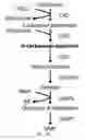 Fig. 04 - Targeting Metabolic Vulnerability in Triple-Negative Breast Cancer