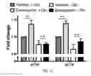 Fig. 05 - Targeting Metabolic Vulnerability in Triple-Negative Breast Cancer