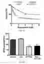 Fig. 12 - Targeting Metabolic Vulnerability in Triple-Negative Breast Cancer