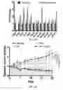 Fig. 16 - Targeting Metabolic Vulnerability in Triple-Negative Breast Cancer