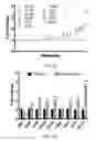 Fig. 19 - Targeting Metabolic Vulnerability in Triple-Negative Breast Cancer