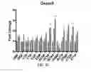 Fig. 23 - Targeting Metabolic Vulnerability in Triple-Negative Breast Cancer
