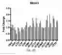 Fig. 24 - Targeting Metabolic Vulnerability in Triple-Negative Breast Cancer