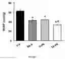 Fig. 08 - Combination therapy for treating pulmonary hypertension