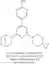 Fig. 121 - BIHETEROARYL COMPOUNDS AND USES THEREOF