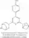 Fig. 141 - BIHETEROARYL COMPOUNDS AND USES THEREOF