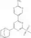 Fig. 24 - BIHETEROARYL COMPOUNDS AND USES THEREOF