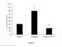 Fig. 07 - Methods of treating eye diseases associated with inflammation and vascular proliferation