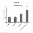 Fig. 12 - FXR agonist compositions for combination therapy