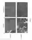 Fig. 03 - Methods and compositions for treating pancreatitis