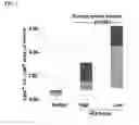 Fig. 02 - Therapy for malignant disease