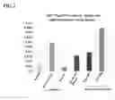 Fig. 03 - Therapy for malignant disease