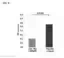 Fig. 05 - Therapy for malignant disease
