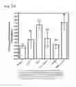 Fig. 06 - Composition and method to enhance expression of human defensin 2