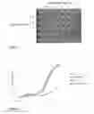 Fig. 04 - ANTIFUNGAL COMPOSITION/TREATMENT