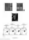 Fig. 07 - METHODS FOR ENHANCING AN IMMUNE RESPONSE WITH A CTLA-4 ANTAGONIST