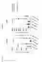Fig. 02 - Peptides and combination of peptides for use in immunotherapy against epithelial ovarian cancer and other cancers